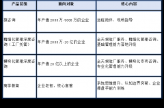 <b>制制业办理征询公司哪家强？2025年最新五大机构</b>