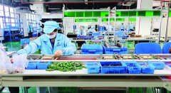 金田科技深拓永磁电机范畴 本年产值力争增加超